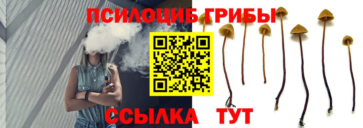Галлюциногенные грибы Psilocybe  Вход с VPN  Новороссийск 